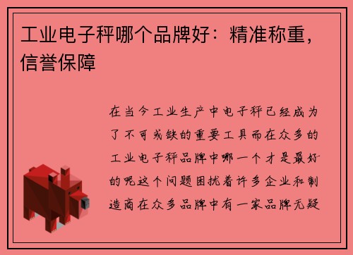 工业电子秤哪个品牌好：精准称重，信誉保障